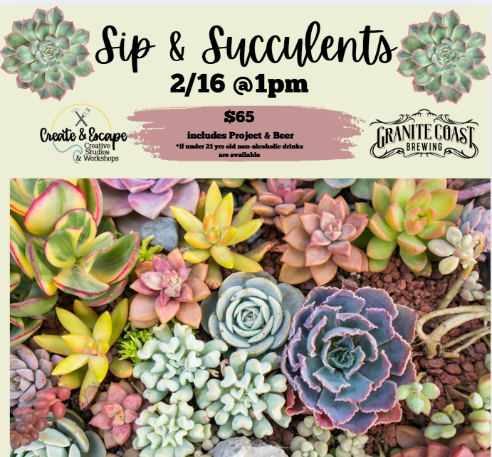 Sip & Plant  2.16.25 1pm Succulent Workshop| Open Workshop@ Granite Coast Brewing Company